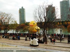 Rubber Duck and Crowds